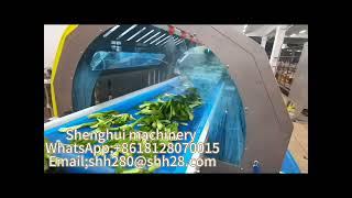 Vegetables washing and drying line