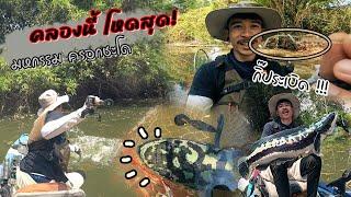 กิ๊ประเบิด !! ชะโดแม่ครอก สุดโหด กัดเอาตาย | Kayak Fishing