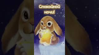 Спокойной ночи!!! Сладких снов!!! #видео #поздравление #картинки #ночь