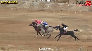 سباقات الخيل العربية ميدان الاصايل اريحا مضمار الاصايل اريحا 20/12/2024 #سباقات_الخيل #الخيل_العربية