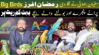 Sufyan bhai ka setup | big birds or bolnay walay totay