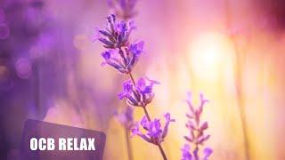 10 Relaxing Piano Pieces by Ocb Relax Music (4K)