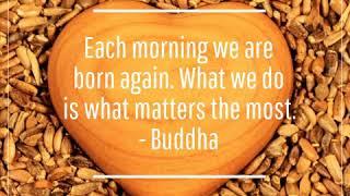 Each morning we are born again. What we do is what matters the most.                               …