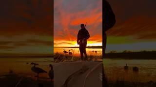 Duck hunting SUNRISES #shorts #duckhunting #waterfowl #duckseason #duckhunt #mallards #duckhunters