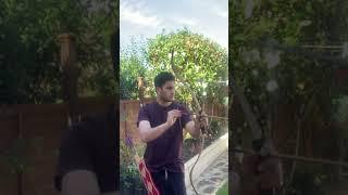 Different Persian Draws in Archery #archery