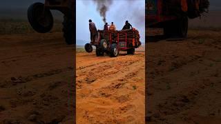 Messy 240 Heavy Load in Sand on 2 Wheels #tractor #heavyload #heavydriver #driver #work #shortvideo