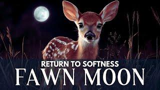FAWN MOON  A  Meditation for Healing, Soul Remembrance & Wild Rebirth