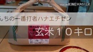 カレー、ピラフ、丼に合う林さんちの一番打者ハナエチゼン玄米１０キロです。2016