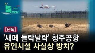 [단독]'새떼 들락날락' 청주공항, 유인시설 사실상 방치?//HCN충북방송