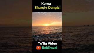 Kareya Sharqiy Dengizi #korean #koreantravel #동해 #동해일출