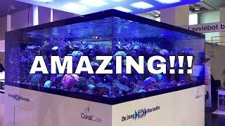 Best tank at Interzoo! DeJong marine life