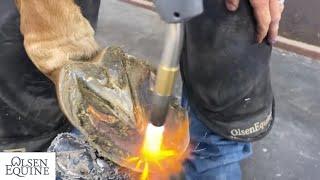 CAUTION FIRE!!! Tips to Make Shoeing Long/Overdue Horses Easier! Lee Olsen CJF