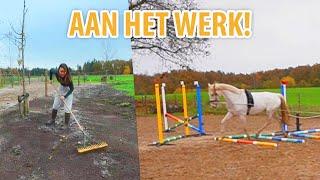 Laatste klussen na verbouwing & de paarden trainen!