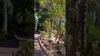 Monaco break my hard️It’s really beautiful #short #placestovisit #travel #monaco #peace #love