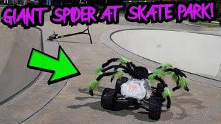 Spooky RC Skatepark Takeover