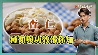 杏仁大解析：不同種類的功效與禁忌｜蔬福生活