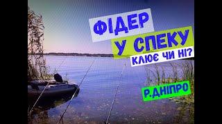 фідер в спеку на Дніпрі #fishing #фідер #лящ #плотва