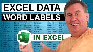 Excel - Labels from Excel Data to Word - Episode 1484