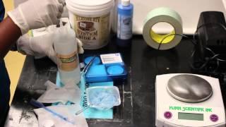 NISE Net Tutorial:  How to Make Silicone Gecko Tape for the Biomimicry Demo