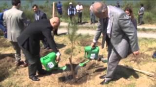 Cihan çalışanları fidan dikti