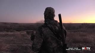 Predator Nation: MOTV Expert Series | New Show | MyOutdoorTV