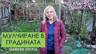 МУЛЧИРАНЕ в градината - Къде, с какво, защо | Garden Utopia