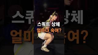 스쿼트 상체 얼마나 숙여? (스쿼트 치트키…인데 기본)