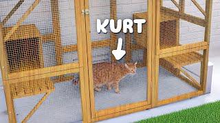 Building Kurt's Dream Catio