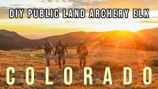 DIY Colorado Public Land Archery Backpack Elk Hunt | Close... But Tag Soup for Dinner