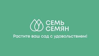 ЗНАКОМИМСЯ С ИНТЕРНЕТ-МАГАЗИНОМ СЕМЬ СЕМЯН!