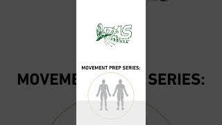 Movement Prep Exercise Series - Quad Opposite Extensions to increase your Core Pillar Stability.