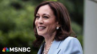 ‘She wants a bulldog’: VP Kamala Harris set to choose running mate from rising Democrat stars