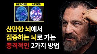 스탠포드 뇌과학 교수가 알려주는 집중력을 영구적으로 높이는 방법 | 앤드류 후버만 Andrew Huberman