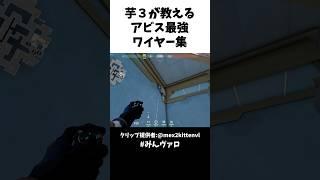 芋3が教えるアビス最強ワイヤー集 #valorant #valorantclips #キル集