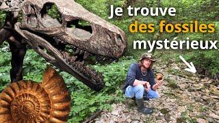 DÉCOUVERTE préhistorique : Trouvez des FOSSILES extraordinaires avec moi!