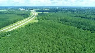 Timber/Hunting LAND FOR SALE  Monroe Co., +/- 481 acres, Hwy 45, Nettleton, MS