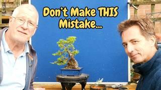 Know your Bonsai: Think Twice, Style Once! With Jelle@GrowingBonsai