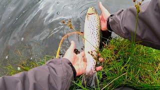 Fishing a Small Loch in the Galloway Hills with Davie McPhail