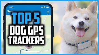  Top 5 Best Dog GPS Trackers of 2024