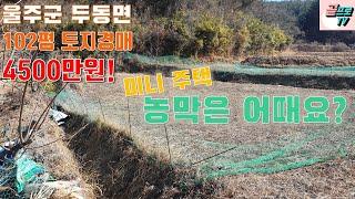 [ 부동산 경매 ] 울주군 두동면 112평 토지경매물건 / 3차 최저가 4500만원 / 나만의 미니주택 농막 필요하신 분~~ / 현장다녀왔습니다^^