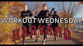 Harvard's Trophy-Chasing NCAA Workout | Workout Wednesday