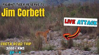 Creta से पहुंचे Jim Corbett National Park From Pilibhit Tiger Reserve | Car Drive In Tiger Zone