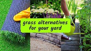 Alternatives to Grass For Your Lawn