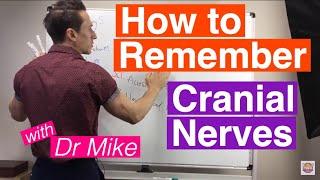 How To Remember Cranial Nerves