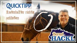 Wie mache ich das Knotenhalfter richtig zu? | HORSEMAN HACK 