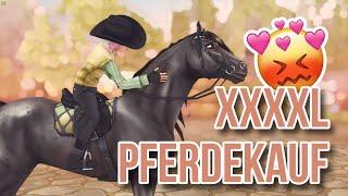 TÜRCHEN 30  Ich SHOPPE 16 PFERDE ● STAR STABLE [SSO]