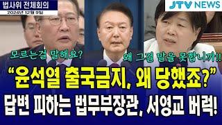 "대통령 출국금지, 왜 당했죠?" 답변 피하는 법무부장관? 서영교 버럭!