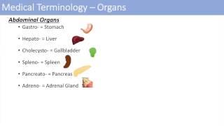 Medical Terminology - The Basics - Lesson 1