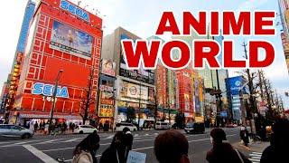 ANIME HUB OF JAPAN