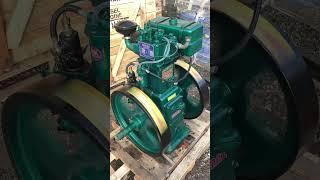 8hp lister clone diesel running at 700rpm